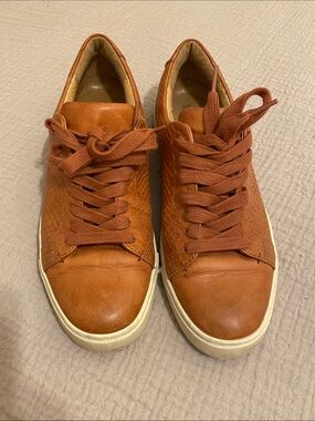 FRYE Casual Leather Sneakers - Brown. Size 8.5